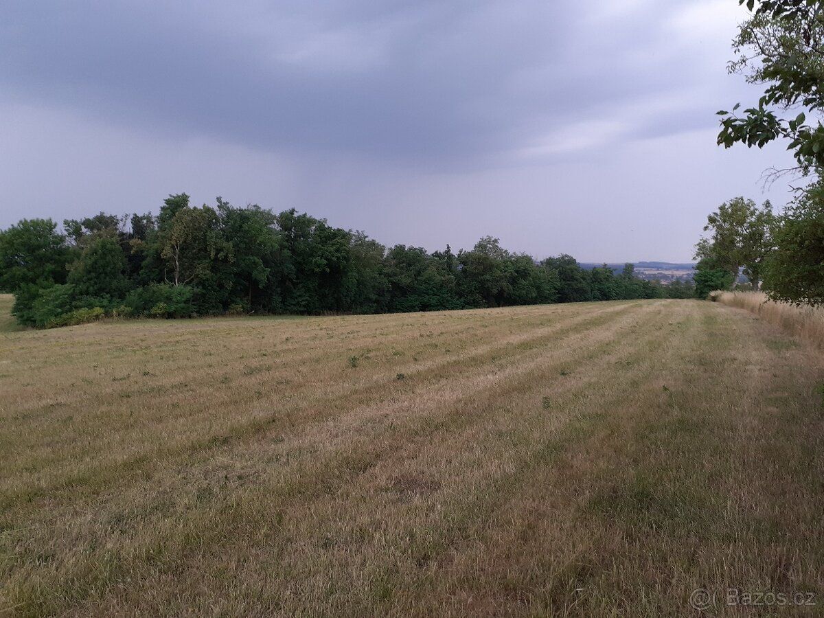 Prodej orné půdy – Neslovice, okres Brno-venkov (do 20km od 