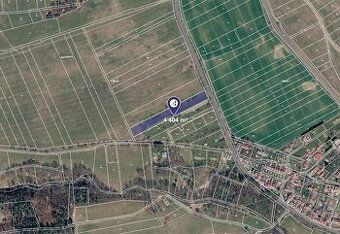 Prodej lesních pozemků v k.ú. Přemyslovice, LV 1209. CP 13 9