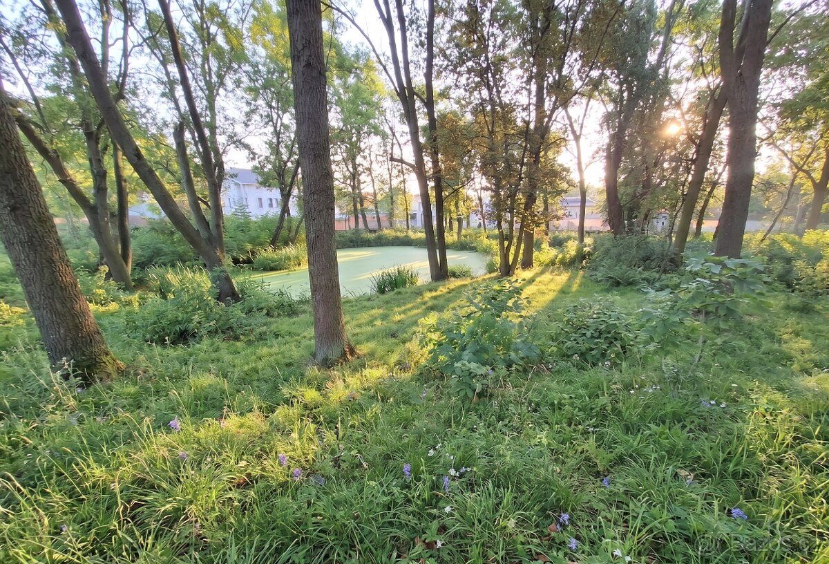 Představte si víkendy plné pohody, grilování s přáteli nebo 