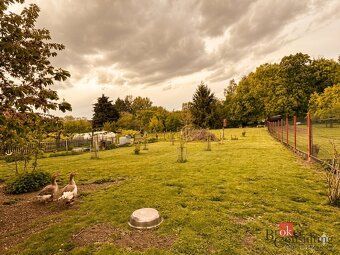 Prodej, domy/rodinný, 150 m2, Plánská 154, 34958 Černošín, T