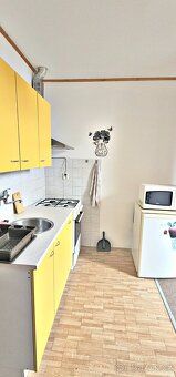 Ve výhradním zastoupení nabízíme pronájem útulné garsonky v 