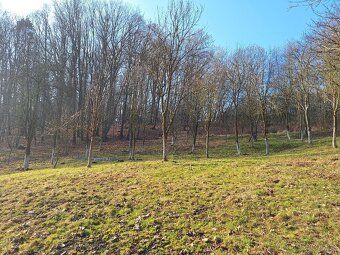 Nabízím k prodeji pozemky o celkové výměře 12 791 m2, které 