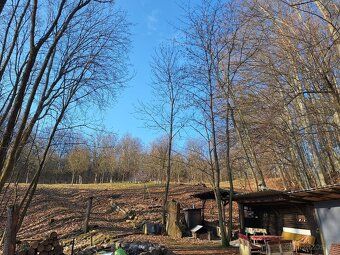 Nabízím k prodeji pozemky o celkové výměře 12 791 m2, které 