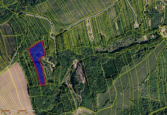 Nabízím k prodeji pozemky o celkové výměře 12 791 m2, které 