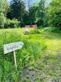 Prodej pozemek Bydlení, 1200m², Hořice na Šumavě
Cena od 250