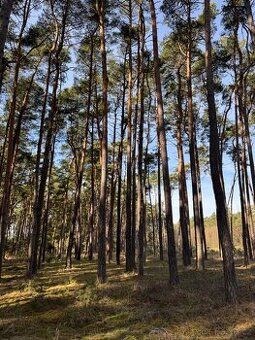 Prodej pozemku o výměře 1497 m2 v katastru obce Vracov. Jedn