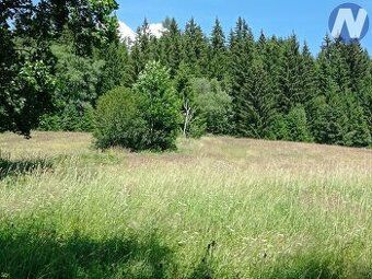 Prodám pozemek o velikosti 8823 m2, k.u. Vimperk vedený v úz
