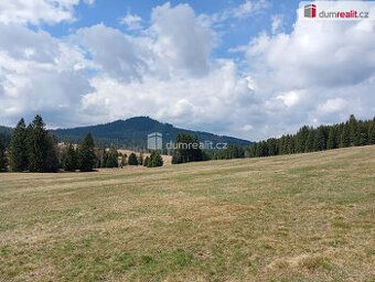 Prodám pozemek o velikosti 8823 m2, k.u. Vimperk vedený v úz
