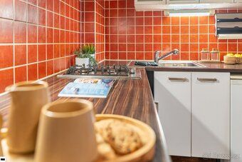 Prodej rodinného domu se třemi bytovými jednotkami Brno–Líše