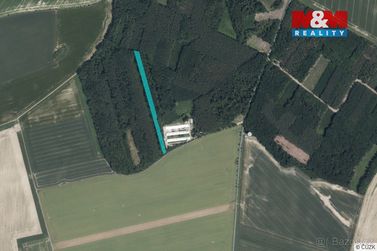 Ve výhradním zastoupení nabízíme k prodeji lesní pozemky po 