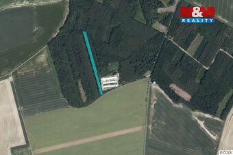 Ve výhradním zastoupení nabízíme k prodeji lesní pozemky po 