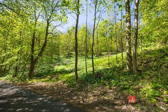 Prodej, pozemky/bydlení, 1045 m2, Horní Morava 11, 56169 Dol