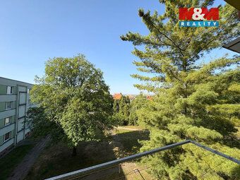 Nabízím k dlouhodobému pronájmu prostorný a světlý byt 3+kk 