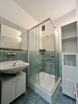 K dlouhodobému podnájmu nabízíme světlý a útulný byt 1+1 o v