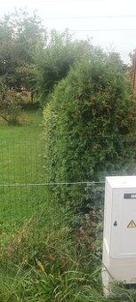 Prodáme z privátní ruky 4 slunné pozemky v Sadovelě-Podlesí,