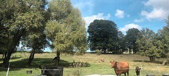 Prodám dům nedaleko Karlových Varů,v klidné obci,vhodný na c