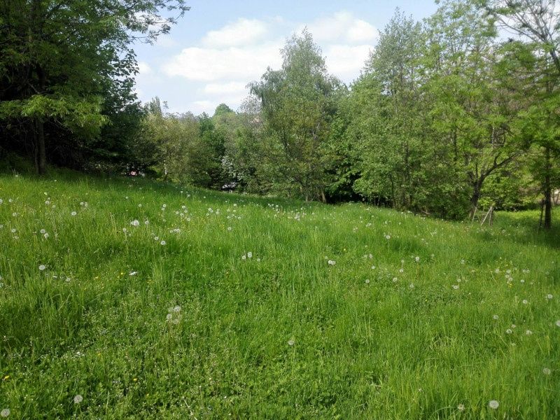 Prodám stavební pozemek o velikosti 2897 m2 v klidné části o