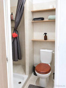 Nabízím k pronájmu světlý byt 1+1 o velikosti 42 m² na ulici