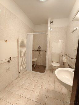 Pronajmu dlouhodobě byt 1+kk o velikosti cca 33 m² v lokalit