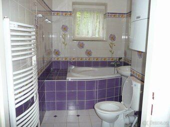 Nabízíme k pronájmu byt 2+1, 50 m² — Praha 6, ulice Vostrovs