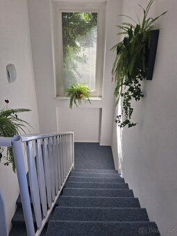 Pronajmu 1+1+balkón pracujícímu muži bez exekucí. Byt je kom