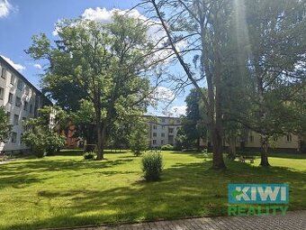 2+1 bez balkonu (50 m²)
Pronájem 2+1 Ostrava – ihned k nastě