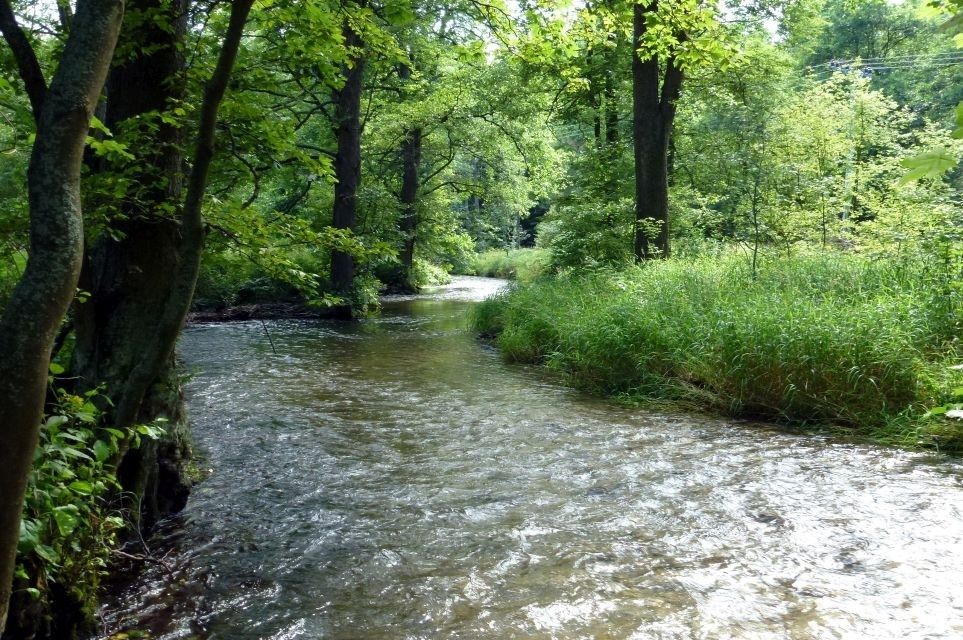 Prodej pozemku přímo na břehu řeky Moravice,cca 1km pod Slez