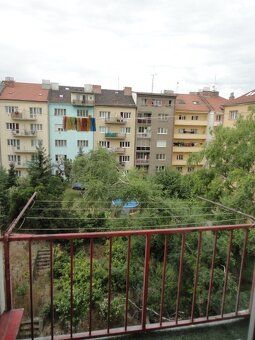 Nabízíme k pronájmu slunný byt 3+1, Černá Pole, ulice Merhau