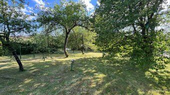 Nabízím k pronájmu rovinatou zahradu o výměře 799 m² v klidn