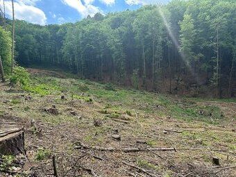 Lesy v katastrálním území Luhačovice 12 259, 7 376 m2 + 1 86