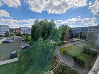 Naše Realitní kancelář Vám nabízí možný pronájem bytu 3+1 69