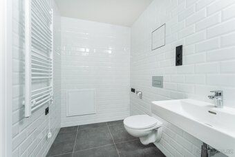 Nabízíme k pronájmu byt 1+kk, celková plocha 43 m² s balkone
