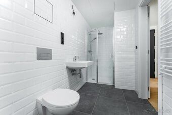 Nabízíme k pronájmu byt 1+kk, celková plocha 43 m² s balkone