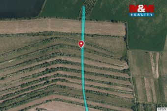 Prodej vinice o ploše 3 677 m² na okraji obce Morkůvky. Parc