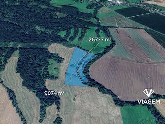 Nabízíme k prodeji 1/4 podíl pozemku o rozloze 2125 m² z cel