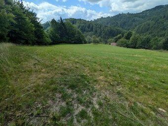 Nabízíme k prodeji lesní pozemek o rozloze 2.146 m² v klidné