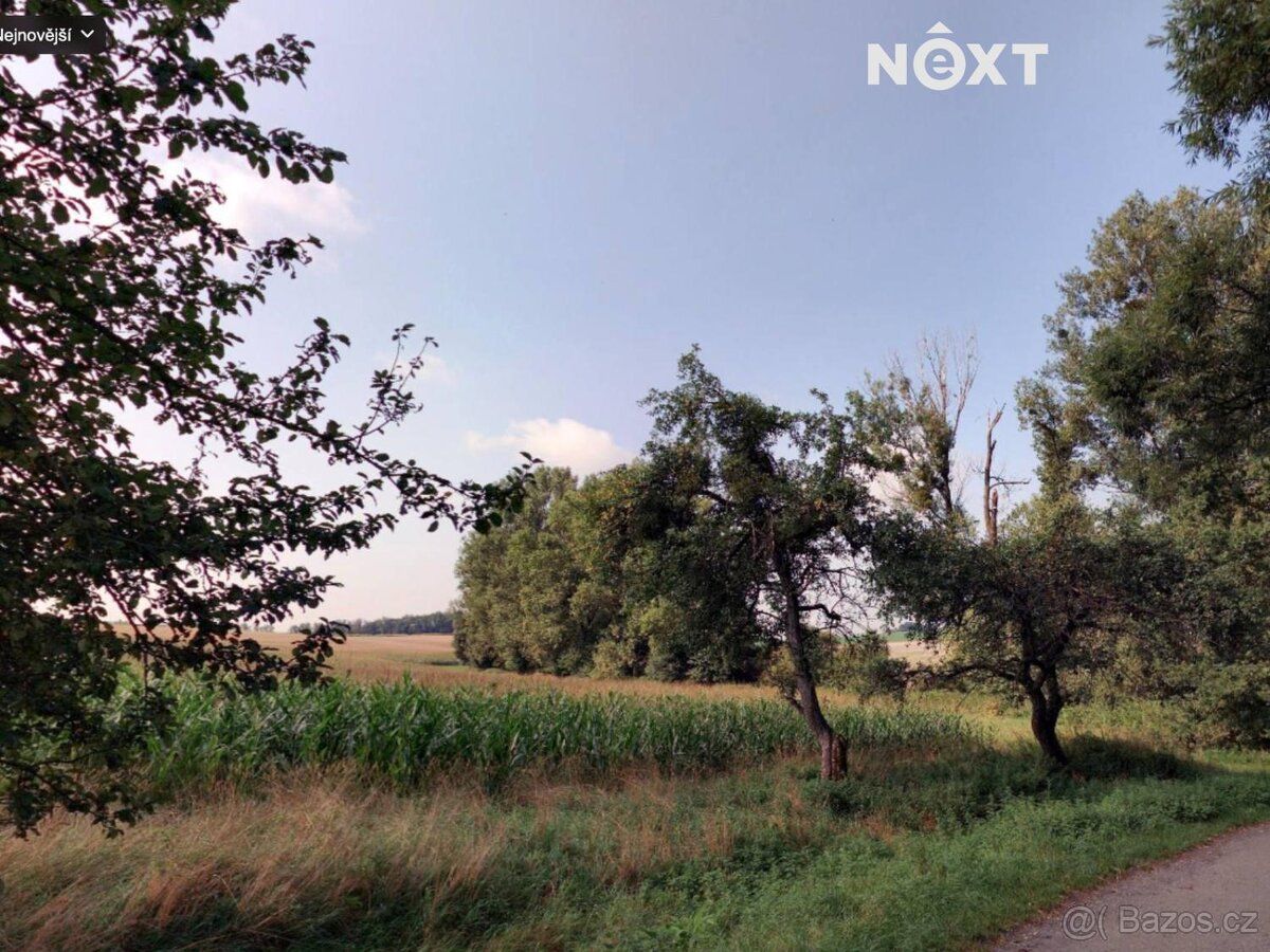 Prodej orné půdy, 6.011 m² v katastrálním území Horní Nětčic