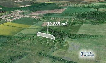 Nabízím k prodeji lesní pozemek o celkové výměře 1.859 m2 s 