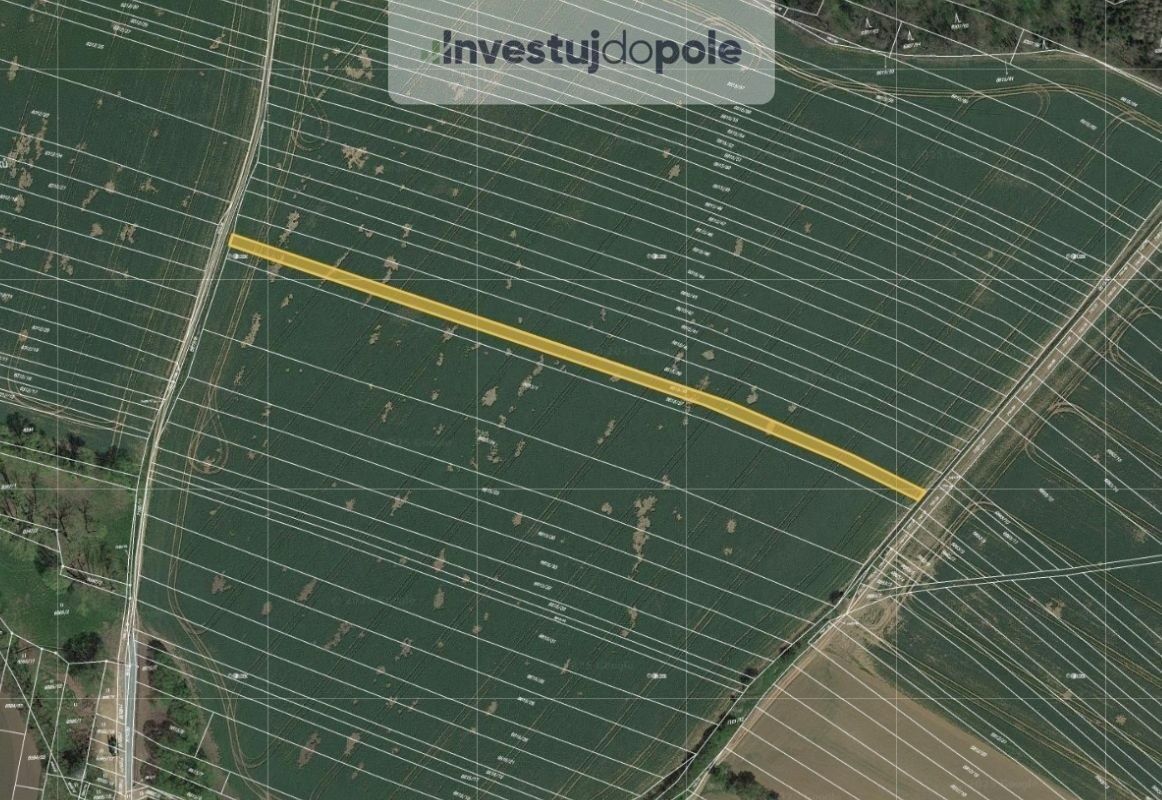 Ev.č. 2025-05-21-3 Již 10 let jsme vaše pravá ruka přes inve