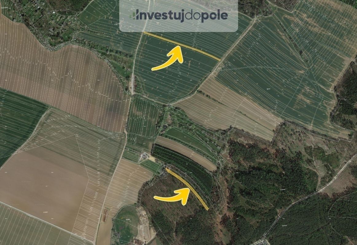 Ev.č. 2025-05-21-3 Již 10 let jsme vaše pravá ruka přes inve