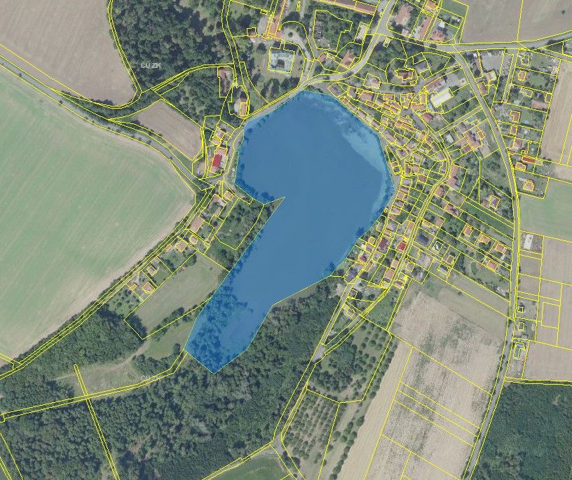 Prodej Svojšického rybníka. Nabízíme na prodej Svojšický ryb
