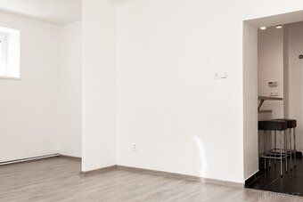 Nabízím k pronájmu zajímavý a prostorný byt v krásné klidné 