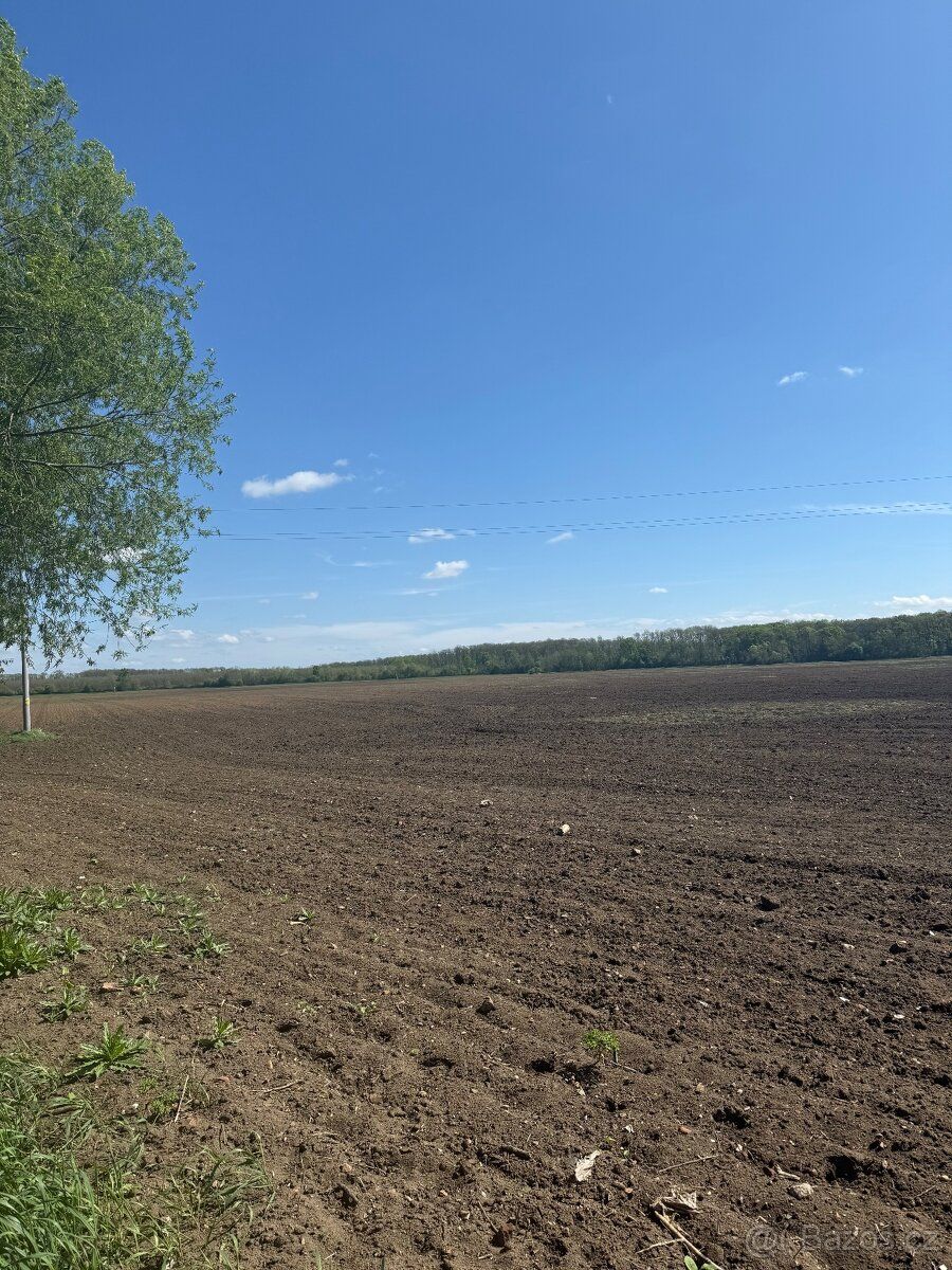 Prodej pole - orná půda 5150 m²
Nabízíme k prodeji zemědělsk