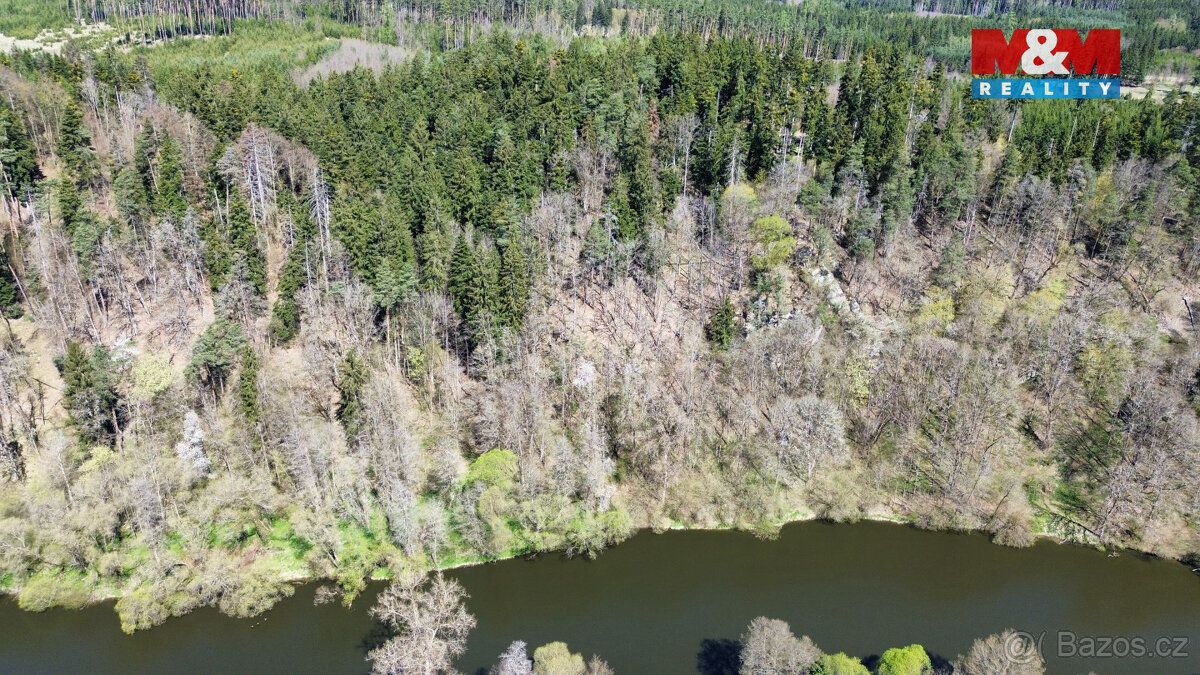 Nabízíme k prodeji lesní pozemek o výměře 39 640 m² v katast
