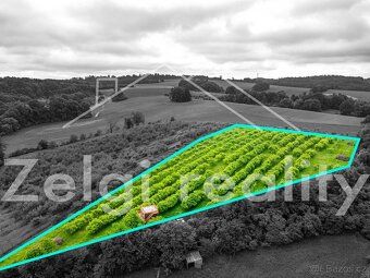 Nabízíme k prodeji prostorný sad o rozloze 9760 m² v malebné