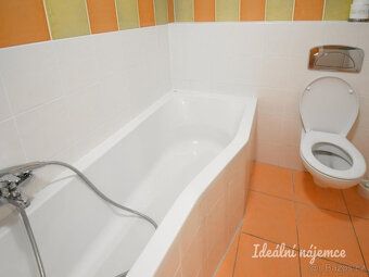 K dlouhodobému podnájmu nabízíme hezký byt o dispozici 1+kk 