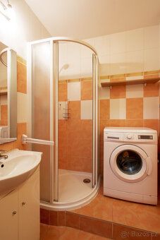 K dlouhodobému pronájmu nabízíme prosvětlený byt 1+kk, 25 m2