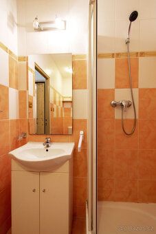 K dlouhodobému pronájmu nabízíme prosvětlený byt 1+kk, 25 m2