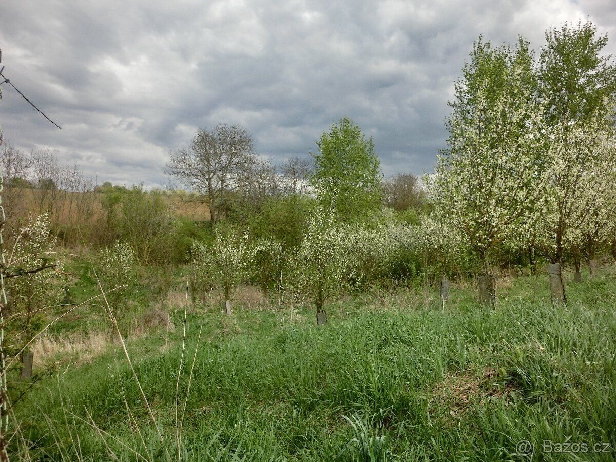Nabízíme k prodeji rekreační pozemek o výměře 878 m² v klidn