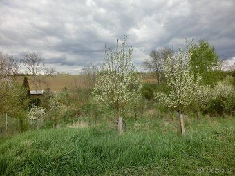 Nabízíme k prodeji rekreační pozemek o výměře 878 m² v klidn